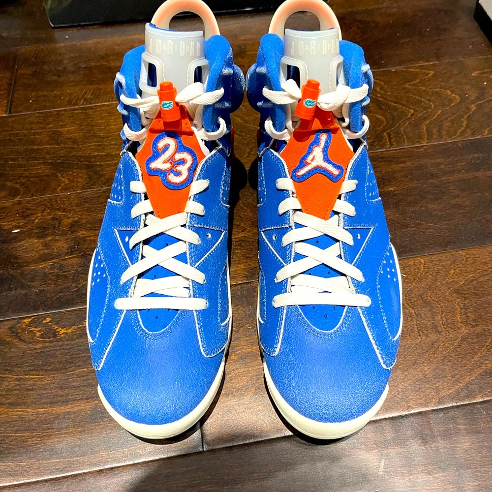 Florida gator Jordan 6 Pe